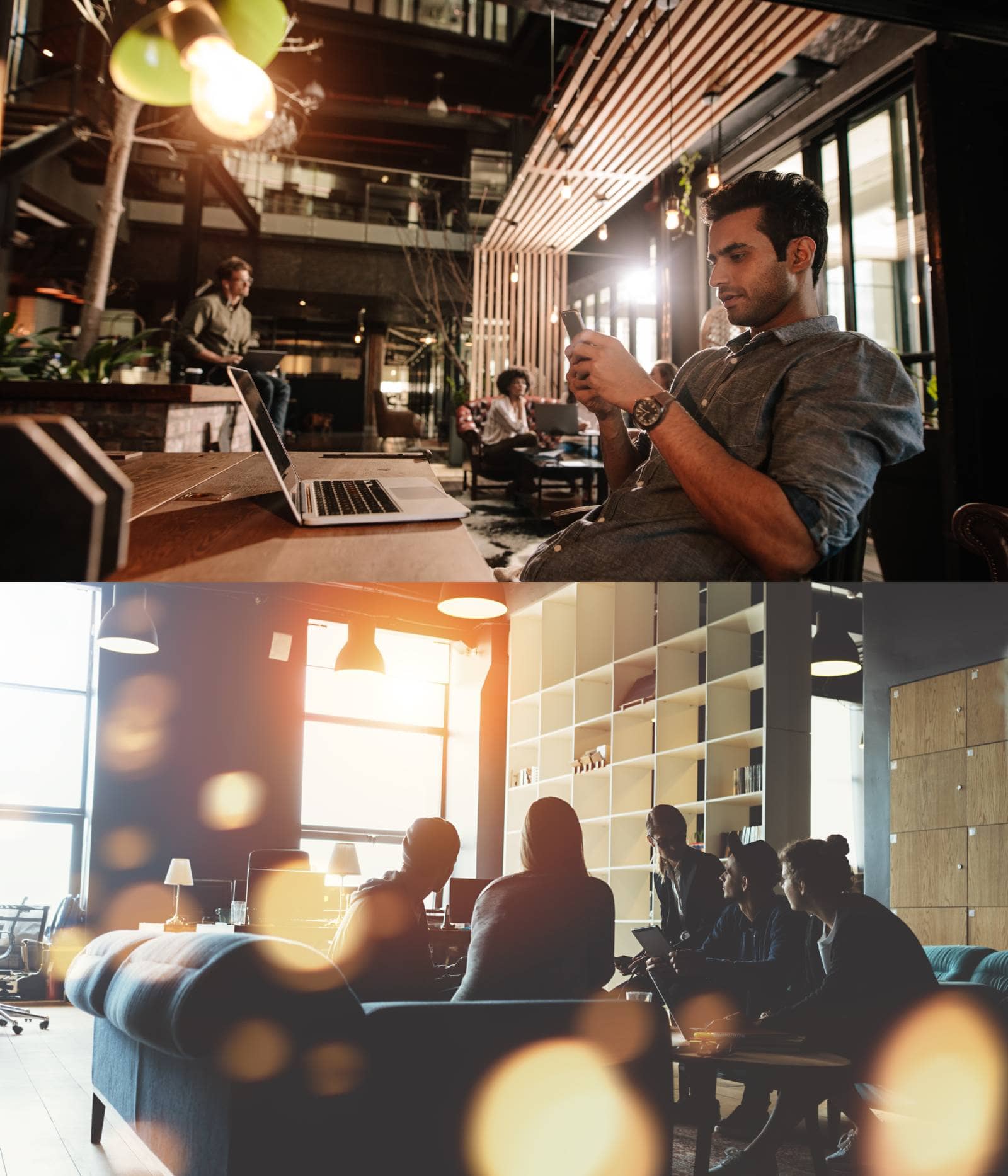 Nuevo concepto de vivienda de alquiler