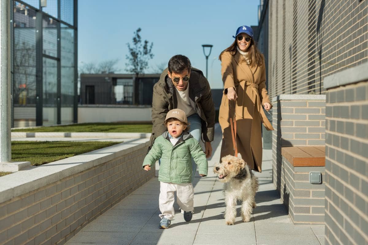 LUZZES alquiler viviendas de obra nueva